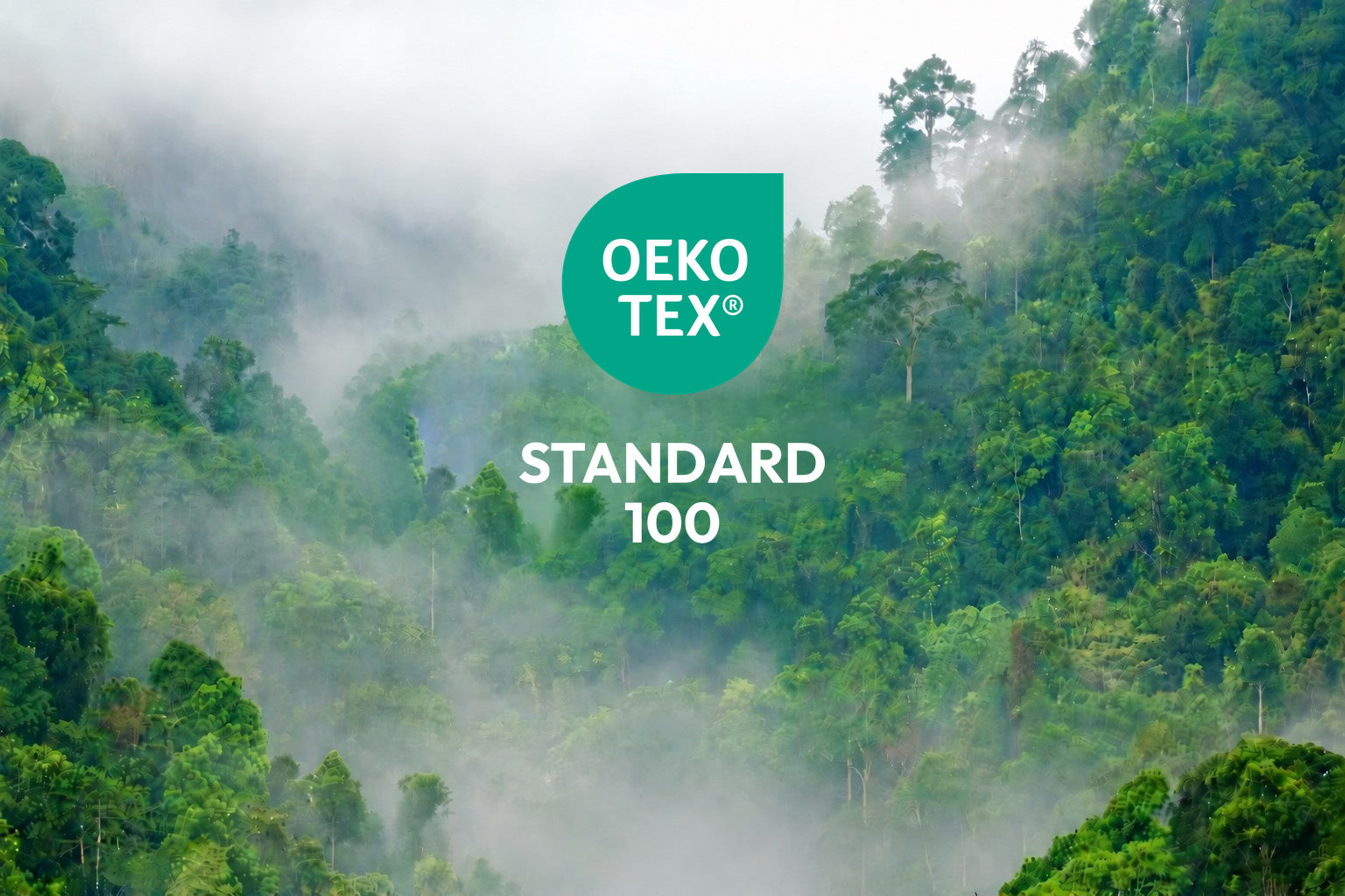 OEKO-TEX STANDARD 100 certification label